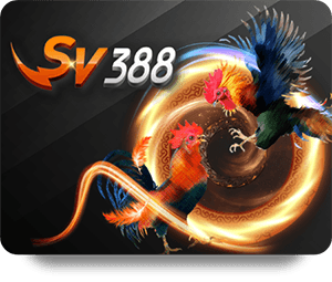 Top Tips for Winning at FUN88 Slot Baccarat This Year